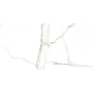 ФАЯНС DELPHI БЯЛ FIORE, 25X50, 4928, 1.625М2 - Image 1